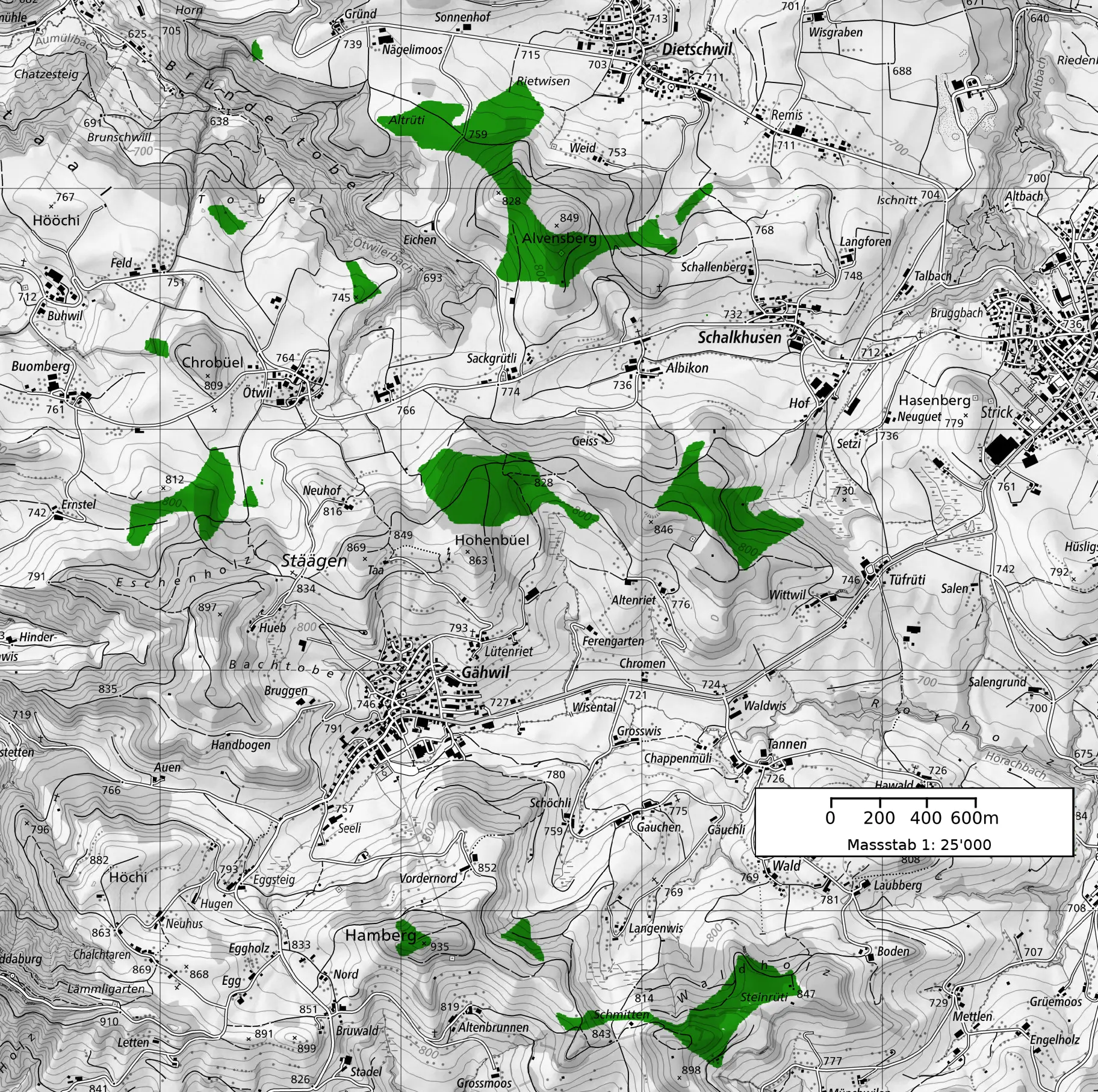 Weissflächenkartierung der WES